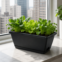 Pot de fleurs rectangulaire en plastique, long et étroit, pour la culture de légumes, en PP, durable, léger, avec indicateur de niveau d'eau simple