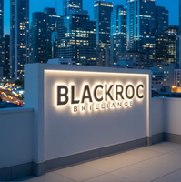 Enseignes lumineuses LED personnalisées rétroéclairées pour extérieur, lettres 3D en acier inoxydable pour entreprises, magasins, signalétique LED, panneau de signalisation, logo