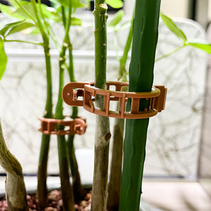 Clips de vigne en plastique brun durable pour les orchidées de soutien de <span class=keywords><strong>tomate</strong></span> cultures de serre équipement hydroponique treillis de plantes - Product Image 3