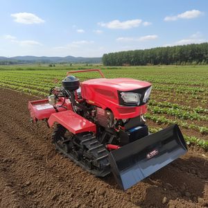 <span class=keywords><strong>Motocultor</strong></span> Rotatorio Universal, Maquinaria Agrícola, Tipo Mini Oruga, Tractor Robusto y Duradero, Motor Diésel <span class=keywords><strong>de</strong></span> 35 Caballos <span class=keywords><strong>de</strong></span> Fuerza - Product Image 6