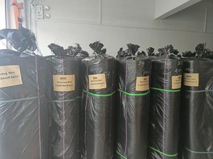 Chất lượng tốt <span class=keywords><strong>crimini</strong></span> nấm phát triển Net 1.42*28.5 ứng dụng cho ngôi nhà màu xanh lá cây - Product Image 4