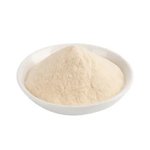 Factory Supply 25KG/CTN Dehydrated Vegetables Dry Onion Powder