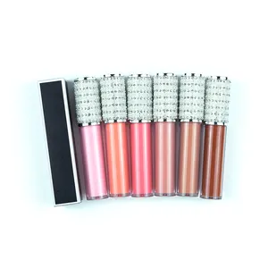 Benutzer definierte Lip gloss Hot Sale Diamond Liquid Lip gloss Schneller Versand