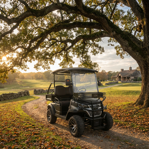 Voiturette de golf électrique puissante 3500W, 2 places, 60V, 38km/h, carrosserie ouverte, pour manoir privé, <span class=keywords><strong>club</strong></span> de golf, tourisme - Product Image 1