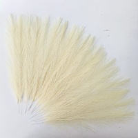 Herbe de la Pampa Artificielle 40 cm en Tissu Polyester pour Décoration Nordique – Idéale pour l'Export