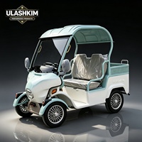 Moto électrique ULASHKIM, moteur 500W, 48V, roue en aluminium 300-10, moto électrique à quatre roues, cyclomoteur, scooter pour personnes âgées