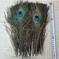 Plumes de paon naturelles de haute qualité en gros, 25-30 cm, pour la décoration de scène, le carnaval, les loisirs créatifs et les ornements de vases