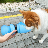 Bouteille d'eau et gamelle pliables en silicone grande capacité pour chiens et chats – Idéale pour les promenades en extérieur