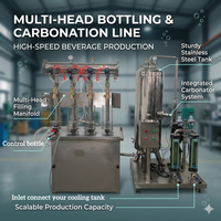 Máquina Automática para Mezclar Líquidos, Máquina para Mezclar Bebidas Carbonatadas con CO2, Máquina Mezcladora de Bebidas Energéticas, Sistema de Procesamiento de Bebidas