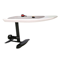 Planche de surf électrique hydrofoil en fibre de carbone avec moteur brushless haute puissance et logo personnalisé pour sports nautiques – Vente en gros