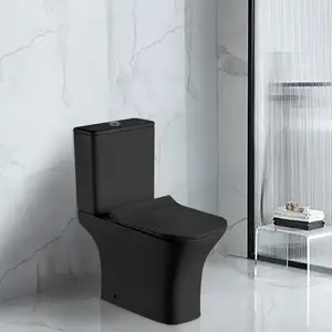 Porcelaine sanitaire noir mat Cuvette de toilette Cuvette p-trap lavabo Bidet de toilette deux pièces placard à eau