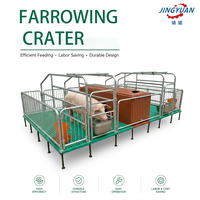 Équipement d'élevage pour truies, boxes de maternité pour porcs, cages d'élevage porcin