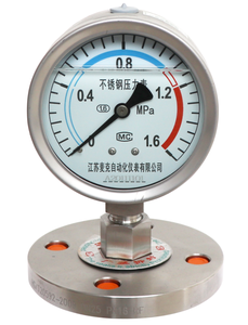 YPF 시리즈 화학 부식 방지 다이어프램 씰 압력 게이지 절연체 플랜지 나사 공정 연결 IP64 정격 40 - Product Image 2