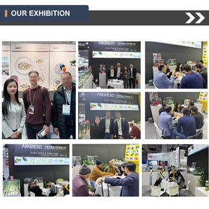 Accesorios <span class=keywords><strong>de</strong></span> Plástico <span class=keywords><strong>para</strong></span> Tuberías <span class=keywords><strong>de</strong></span> <span class=keywords><strong>PVC</strong></span>, Adaptadores <span class=keywords><strong>de</strong></span> Manguera <span class=keywords><strong>de</strong></span> Conexión Rápida <span class=keywords><strong>para</strong></span> Fontanería Doméstica, <span class=keywords><strong>de</strong></span> Jardín e Industrial - Product Image 6