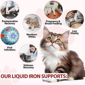 Thức ăn bổ sung dạng nước sắt tự nhiên vị caramel bán buôn tùy chỉnh cho mèo, thúc đẩy sức khỏe máu - Product Image 4