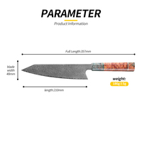 Ensemble de couteaux de cuisine en acier inoxydable Offres Spéciales manche en résine Damacsue noyau en acier VG-10 couteau de chef de cuisine à 67 couches