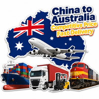 Expédition porte-à-porte DDP pour les commandes e-commerce de Chine vers les États-Unis, le Canada, l'Australie, et le service d'expédition FBA
