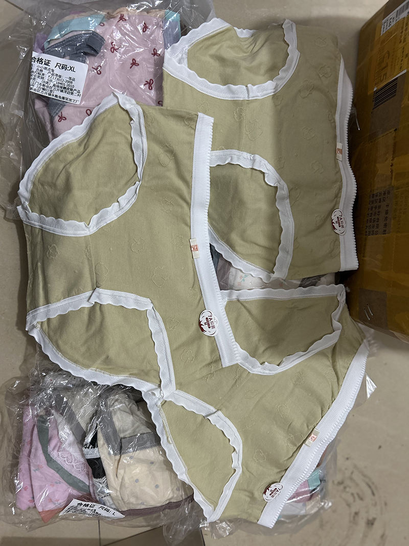 Bulk Stock Random China Supplier Cheap Price Women's Floral Pattern Mid-Rise Briefs Solid Color Underwear Panties