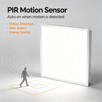 Plafonnier LED à intensité variable 3CCT, avec capteur PIR, contrôle par application et alimentation de secours