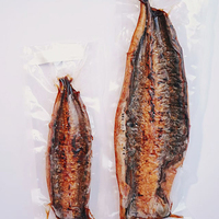 Fabricant Professionnel d'Anguilles Unagi Kabayaki Congelées, Poisson Unagi, Anguille Rôtie Congelée