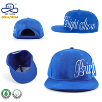 Casquettes de baseball snapback style streetwear HIP HOP avec logo brodé sur le côté pour unisexe, fabrication ODM OEM, pour un usage décontracté.