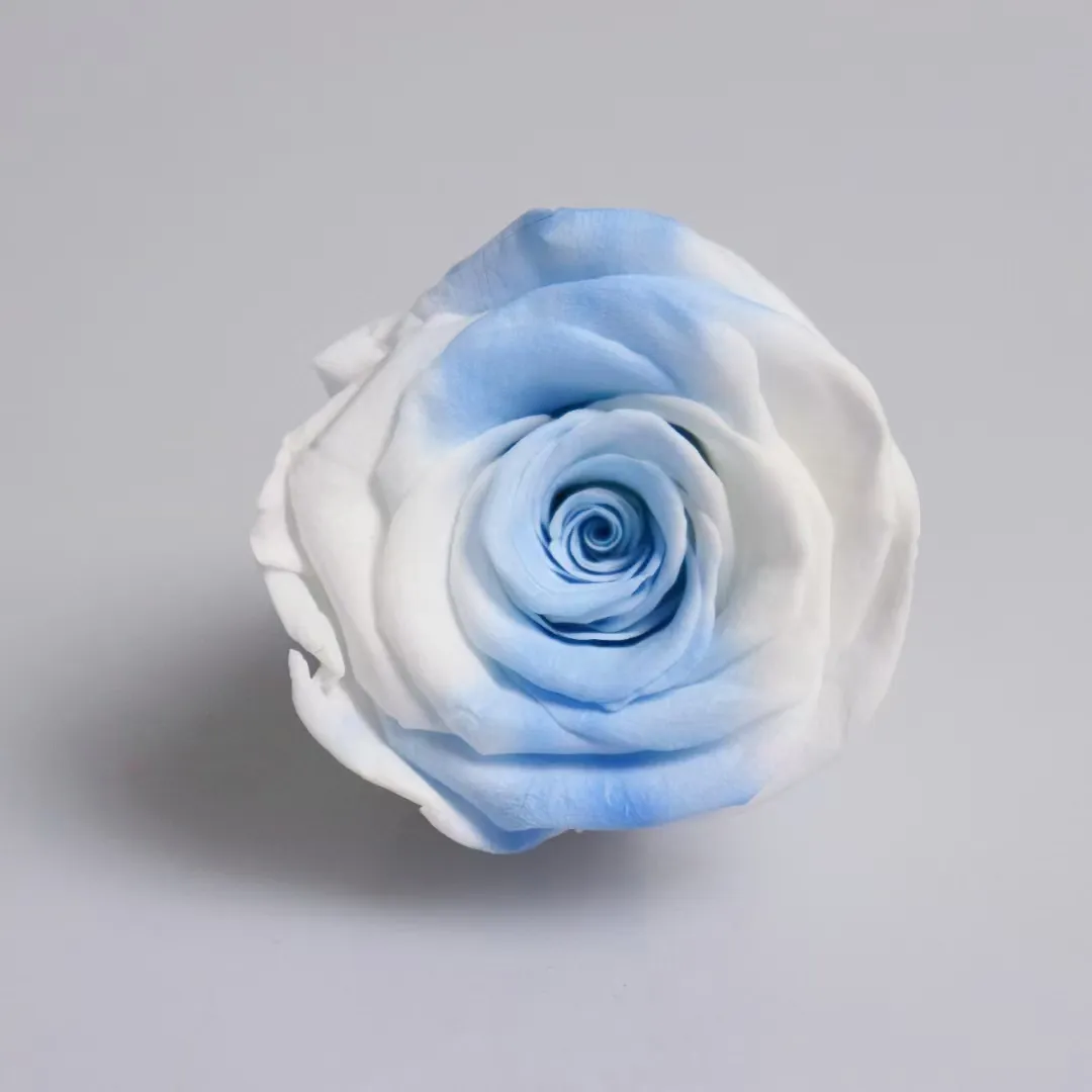 Valentine's Day Gift Artificial Velvet Rose Head 8cm Flower For Wedding Or Home Decoration DIY Crafts Rose Head