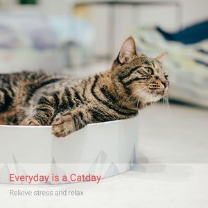 Rascador para Gatos Ecológico con Forma Personalizada, Cama de Cartón Corrugado, Juguete para Afilar Garras - Product Image 3