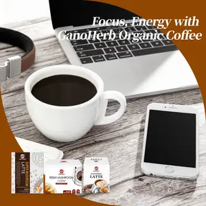 Coffee Ganoderma Suger Free Reishi Mushroom Coffee 2 In 1 Instant Black Coffee