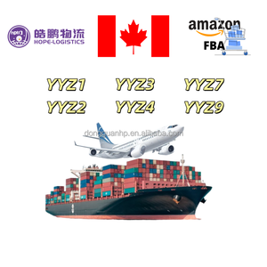 YYZ3高品質の配送と通関手続きのためのカナダへの安全なアマゾン<span class=keywords><strong>FBA</strong></span>貨物サービス - Product Image 1