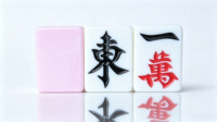 Table de Mahjong entièrement automatique avec deux jeux de tuiles de Mahjong bicolores, fonctionnement stable, table de jeu de Mahjong d'intérieur pour adultes