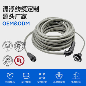 Cable de alimentación para aspiradora de piscina, 220V AC 100-240V, PVC, resistente al agua, accesorio para Robot limpiador de piscinas - Product Image 4