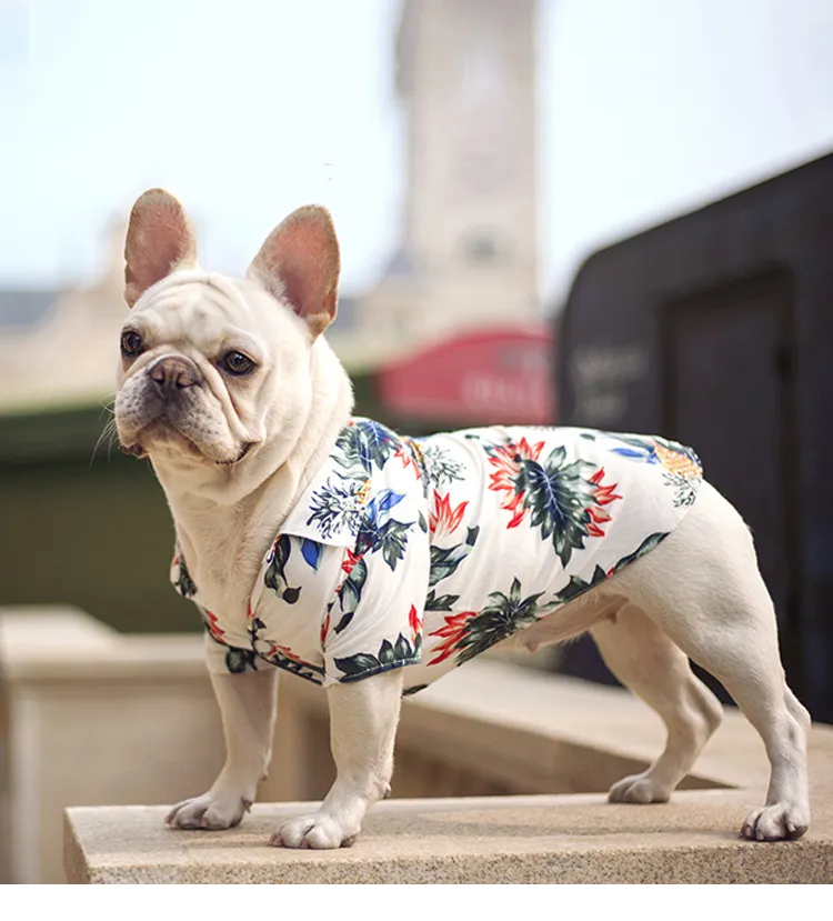ファッショントレンド暖かい犬ダウンジャケット高品質冬ペット犬服子犬テディコート