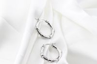 Boucles d'oreilles tendance en acier chirurgical 316L, bijoux de piercing corporel, vente en gros, boucles d'oreilles à la mode