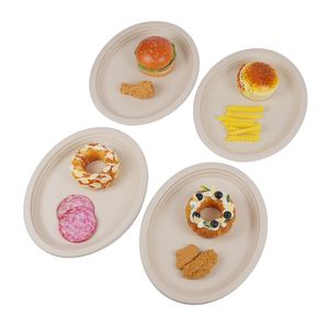 <span class=keywords><strong>Assiette</strong></span> ovale en fibres <span class=keywords><strong>de</strong></span> <span class=keywords><strong>canne</strong></span> à sucre écologique <span class=keywords><strong>Assiette</strong></span> à dîner en bagasse compostable <span class=keywords><strong>Assiette</strong></span> ovale en bagasse <span class=keywords><strong>de</strong></span> <span class=keywords><strong>canne</strong></span> à sucre - Product Image 5