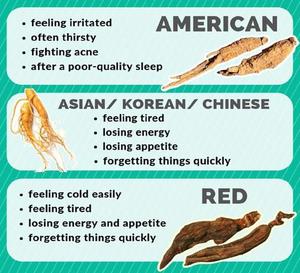 Nhà Máy cung cấp 100% gốc tự nhiên Hàn Quốc nhân sâm đỏ chiết xuất bột nhân sâm đỏ gốc bột Panax Ginseng chiết xuất từ rễ nhân sâm - Product Image 4