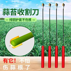 Garlic Scape Cutter Alloy Steel Straight <b>Edge</b> Red Handle Harvesting <b>Tool</b> - Product Image 3
