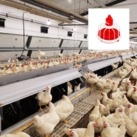 Nouvel équipement d'alimentation et d'abreuvement automatique moderne pour poulets de chair U-Best avec garantie d'un an