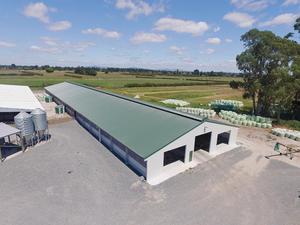 Prefab xây dựng Xây Dựng Kinh Tế mở loại Gà Thịt gà trứng gà đẻ gà mái gia cầm Kết Cấu Thép đổ trang trại - Product Image 2