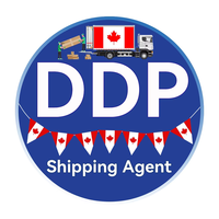 Ddp fracht spediteur geschäfts service air usa ddp agent china versand kosten schnell ozean fcl einkaufen nach marokko ddp
