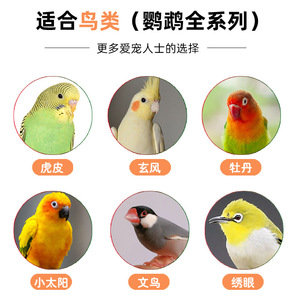 Millet jaune décortiqué pour perroquets, céréale ronde, alimentation pour oiseaux, usage général, durable, origine Shandong - Product Image 4