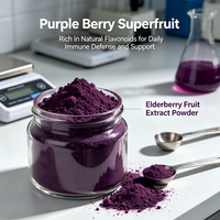 Paarse Bes Superfruit Rijk aan Natuurlijke Flavonoïden voor Dagelijkse Immuniteit en Ondersteuning, met Besextract Poeder