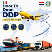 Tür-zu-Tür DDP Luftfracht-Spediteur von China nach Italien und in die Niederlande UPS DHL FedEx Amazon FBA Schwerlastfracht