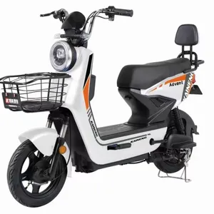 Scooter elettrico per il tempo libero urbano ciclomotore bicicletta elettrica in acciaio Logo personalizzato 48V mozzo posteriore motore batteria al piombo bici elettronica