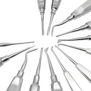Extracteur de racines East-West Flag Luxating Tips, jeu de 10 embouts de différentes tailles, en acier inoxydable / blanc à rouge, emballage en boîte rigide - Product Image 1