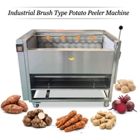 Industriële borsteltype aardappel schilmachine, automatische elektrische was- en schilmachine voor zoete aardappel, taro, wortel, gember, bieten en schelpvissen.