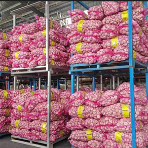Ajo recién cosechado de China, vendido directamente por un exportador experimentado de ajo fresco de China, precio mayorista de ajo fresco, precio bajo, ajo - Product Image 5