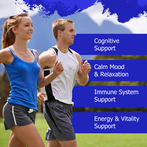 Hot Sale Mushroom Complex Gummies with Total Carbohydrates Supports Relaxation Stress Relief Calm Mood Relaxation Gummies - Product Image 6