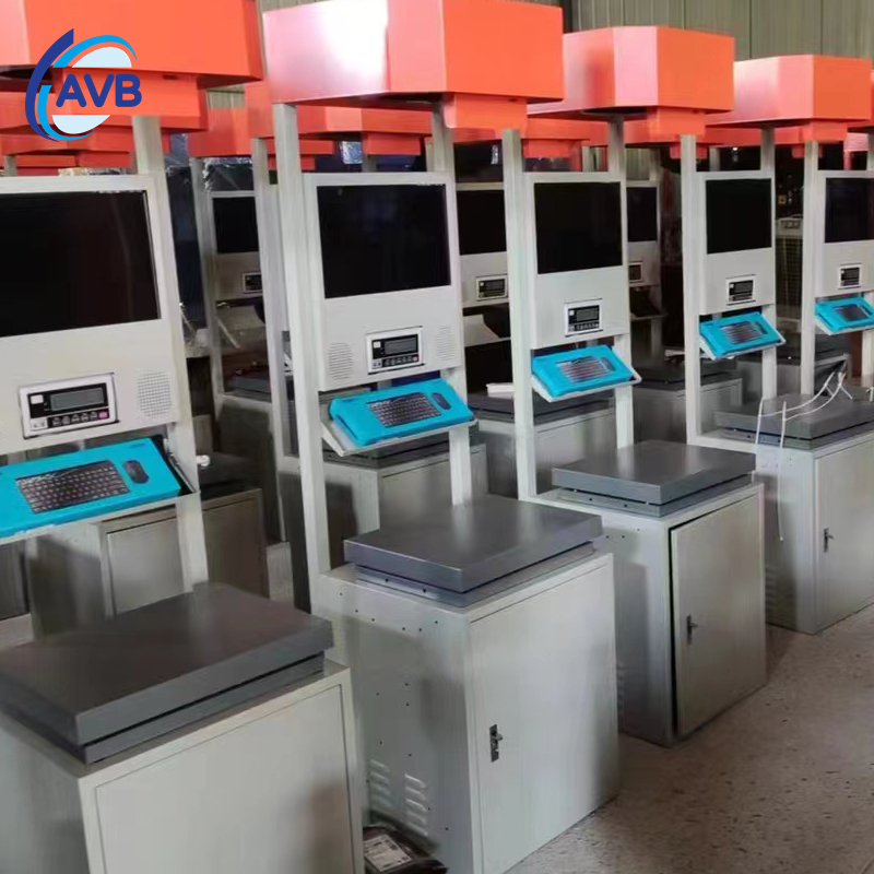 Logistics Parcel Weighing Scanning Intelligent Data