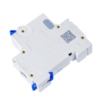 Disjoncteur Miniature CHINT NXB Type D Unipolaire 230V, Disjoncteur CHINT NXB63 D63A D32A D16A D10A 10A 16A