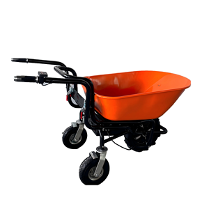 <span class=keywords><strong>Carretilla</strong></span> eléctrica sin escobillas <span class=keywords><strong>Carretilla</strong></span> de <span class=keywords><strong>tres</strong></span> <span class=keywords><strong>ruedas</strong></span> 500W Batería Barrow 260kg - Product Image 1